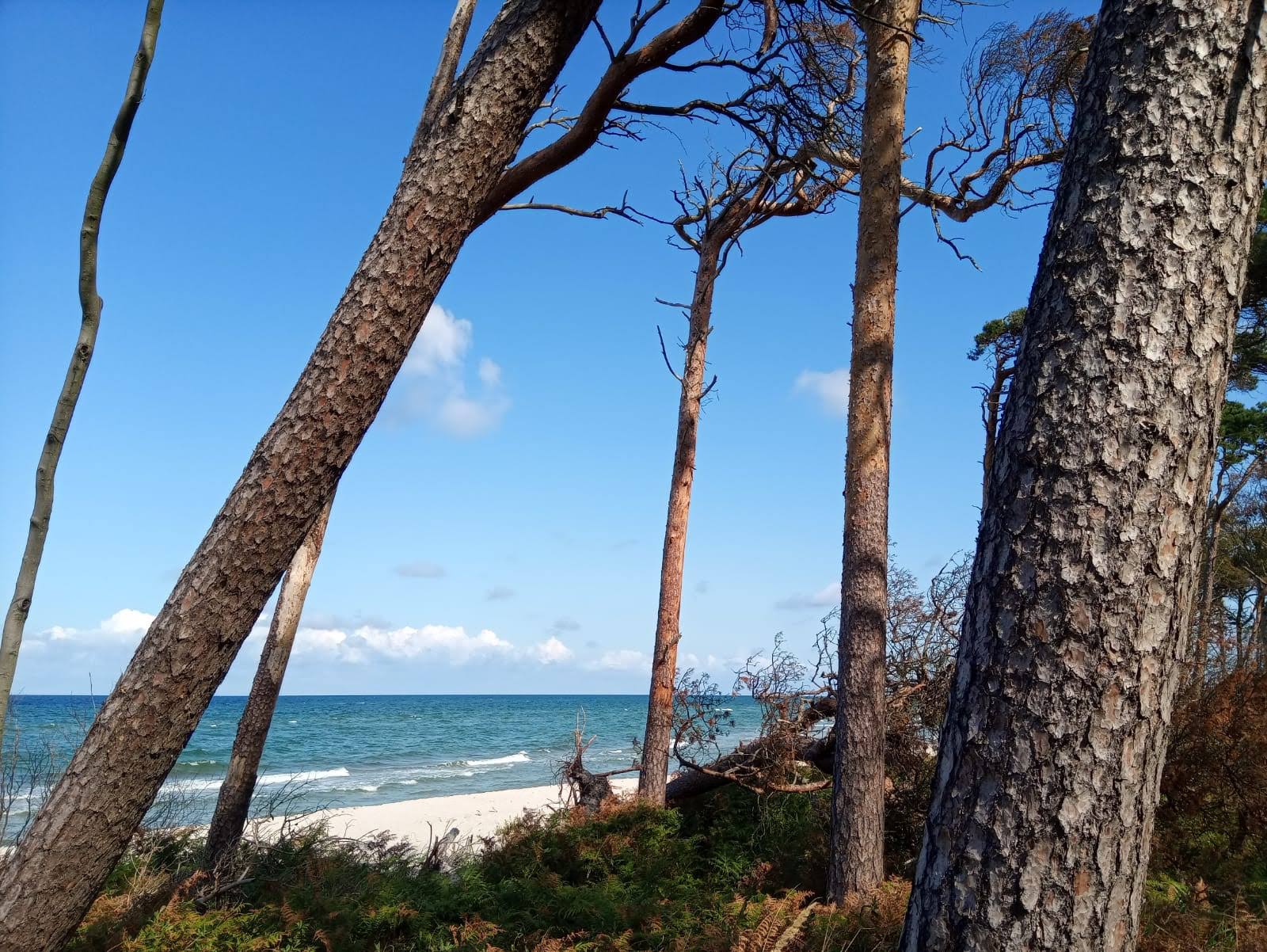 Urlaub