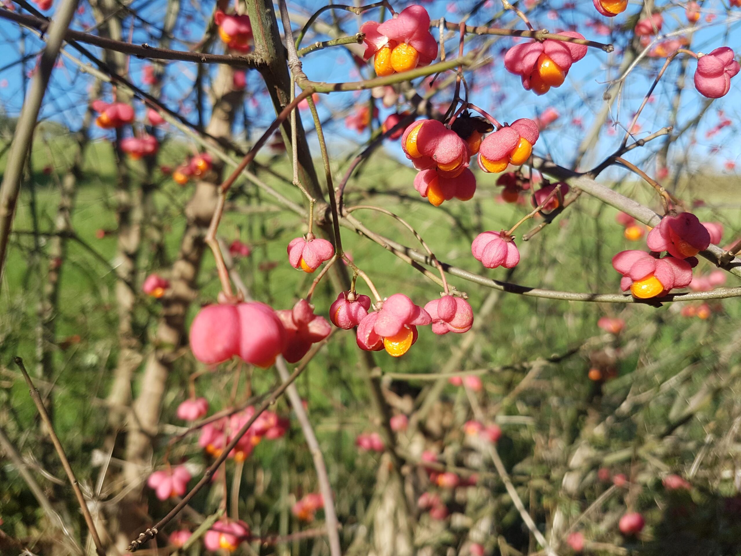 Herbstferien